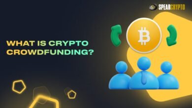 Crypto Crowdfunding: All You Need to Know