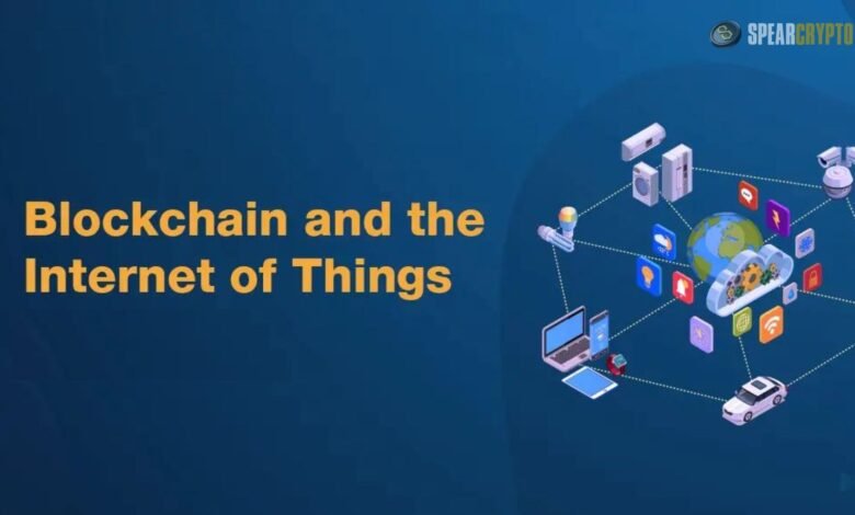 Blockchain and the Internet of Things: A Symbiotic Future