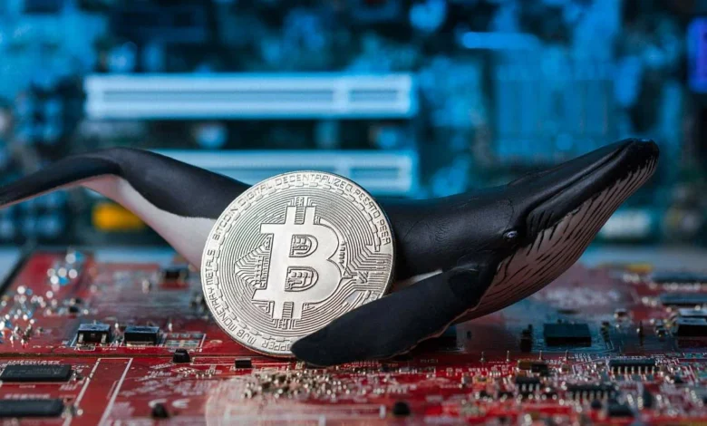 Bitcoin Whale Impact
