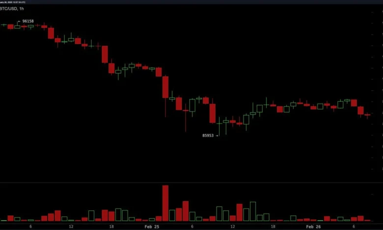 Bitcoin price drop 2025