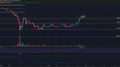 XRP Impact on Value