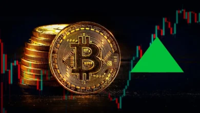 Bitcoin Dominance Surges in 2025