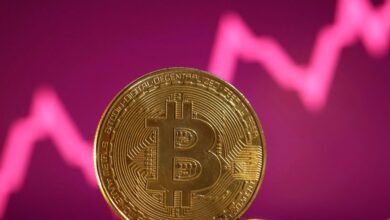 Bitcoin Price Stability and Market